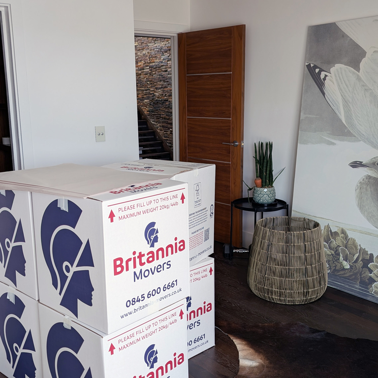 Furniture protection and wrapping